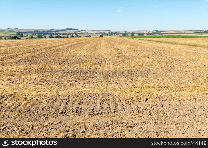 Landscape with corn field.