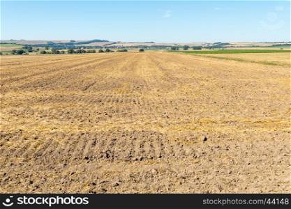 Landscape with corn field.