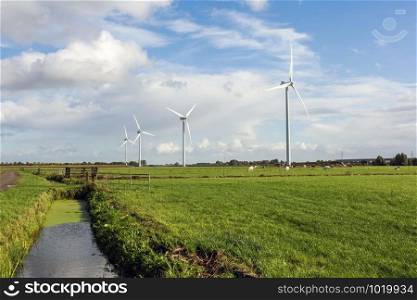 Landscape with cows grazing in the field and windmills on the background, river and blue sky beauty. Landscape with cows grazing in the field and windmills on the background, river and blue sky