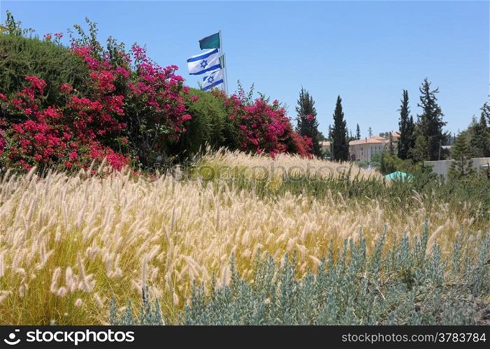 Landscape with flowers and grass, the monastery Latrun in the background (Israel)