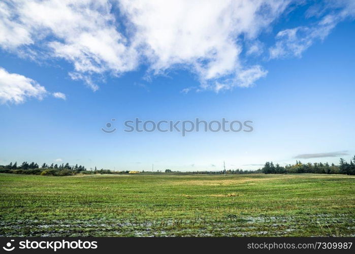 Landscape with frozen green field in the fall under a blue sky in bright daylight