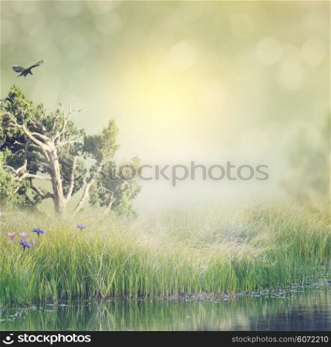 Landscape with Grass and Pond with Reflection