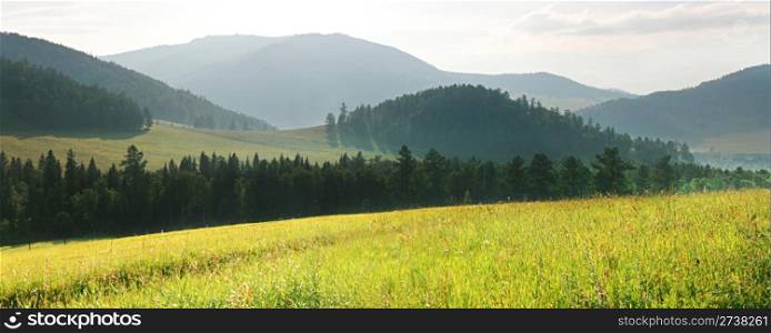 Landscape with green field. Altai. Russia