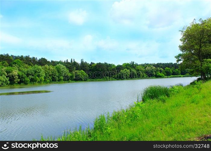 landscape with green forest and river. summer landscape with green forest and river