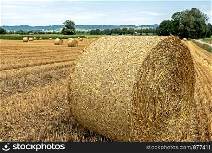 landscape with hay bales in Bavaria at lake Ammersee