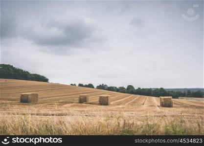 Landscape with hay bales on a field in cloudy weather