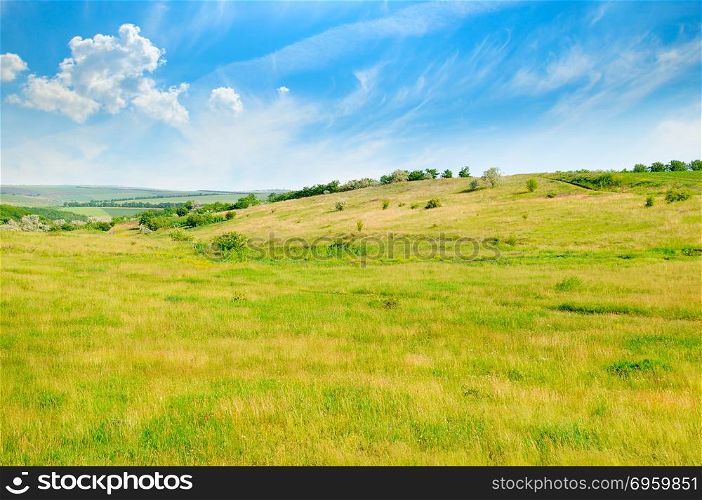 Landscape with hilly field and blue sky.. Landscape with hilly field and blue sky. Agricultural landscape.