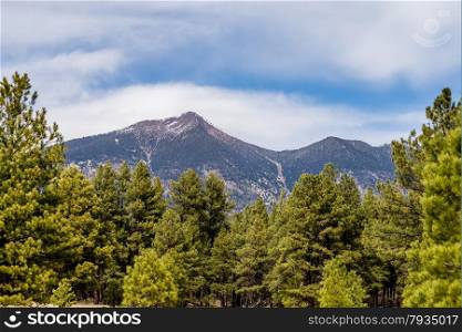 landscape with Humphreys Peak Tallest in Arizona