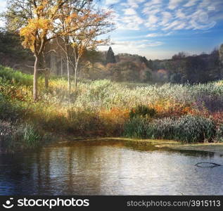 Landscape with lake and colorful vegetation along the shore under a cloudy sky