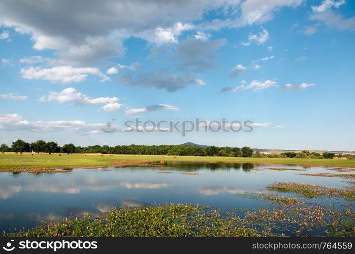 Landscape with lake and pasture in Manzanares del Real, Madrid. Spain