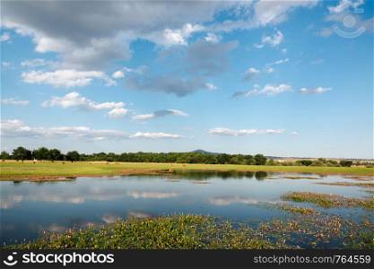 Landscape with lake and pasture in Manzanares del Real, Madrid. Spain