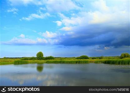 Landscape with lake surrounded with cane and big clouds. Brushwood of rush in lake. Beautiful natural landscape with pond and clouds. Landscape with lake surrounded with cane and big clouds
