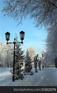 landscape with lantern in snow winter park