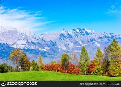 landscape with mountains und trees. Amazing view of mountain
