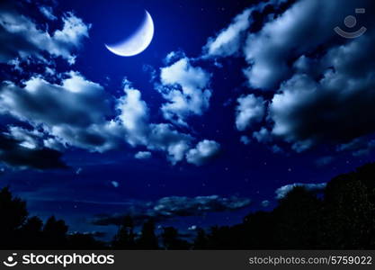 Landscape with night summer forest with green trees and bright large moon in dark sky with clouds and stars