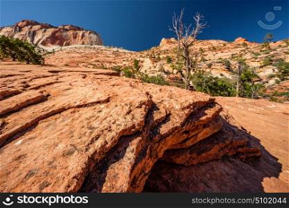 Landscape with rock formations in Zion National Park, Utah, USA