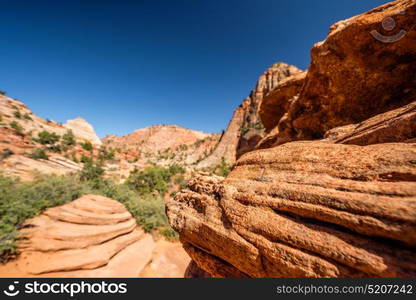 Landscape with rock formations in Zion National Park, Utah, USA