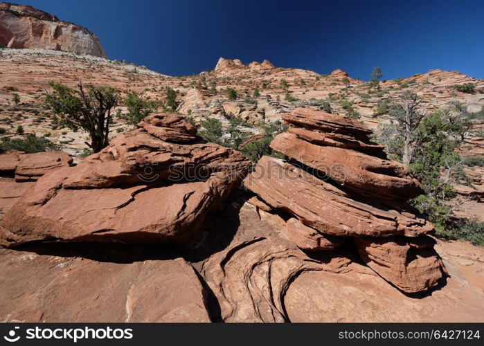 Landscape with rock formations in Zion National Park, Utah, USA