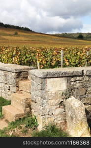 Landscape with Romanee Conti vineyards in Burgundy, France