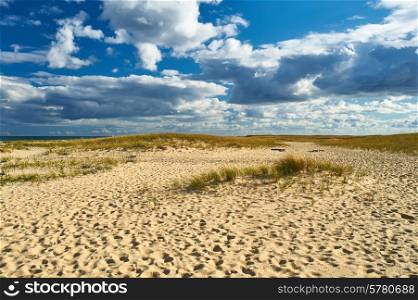 Landscape with sand dunes at Cape Cod, Massachusetts, USA.
