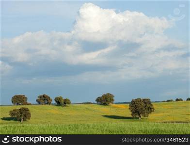 Landscape with some trees and a beautiful sky