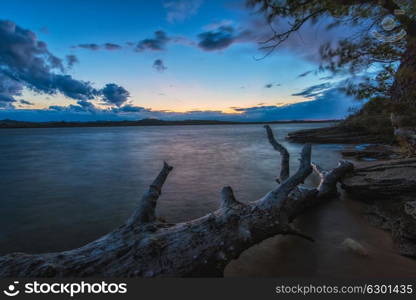 Landscape with sunset and snag at Kolyvanskoe Lake, Altay, Russia.. Landscape with sunset and snag