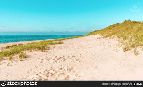 Landscape with the beautiful beach on Sylt island, in North Sea, Germany. Nature scenery with the blue water and the dunes covered in marram grass