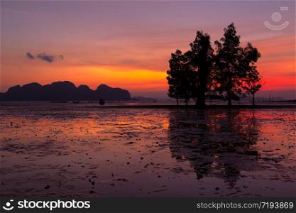 Landscape with the colorful sky in twilight time in the morning while the tide lowers at Phang Nga bay Thailand