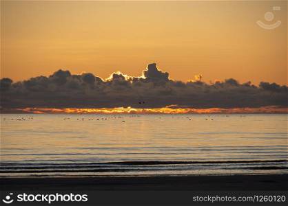 Landscape with the dramatic clouds during sunset with orange illuminated sky over Baltic sea and flock of birds flying low over the water