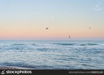 Landscape with the moon, the sea and the seagulls at twilight. Odessa, Ukraine
