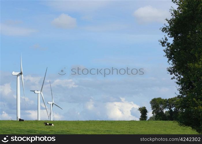 Landscape with three windmills in the countryside