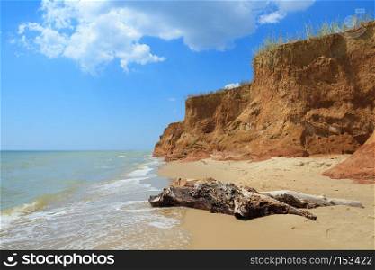 Landscape with tree and beautiful clay shore in Kurortnoe , Ukraine