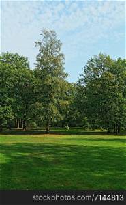 landscape with trees and green lawn in the foreground