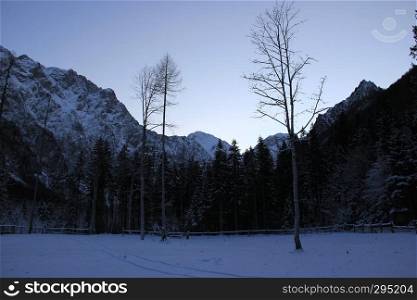 Landscape with trees and mountains before night