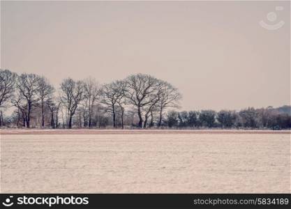 Landscape with trees at wintertime