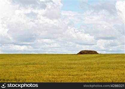 Landscape with yellow grain field, haystack or straw on a background of sky