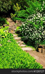 Landscaped garden path with natural stone steps
