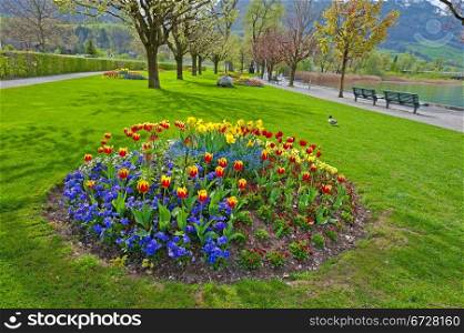 Landscaped Park with Flower Beds at the Lake
