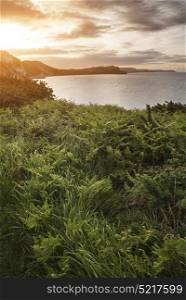 Landscapes. Landscape image of Sunrise over Mupe Bay on Jurassic Coast in England