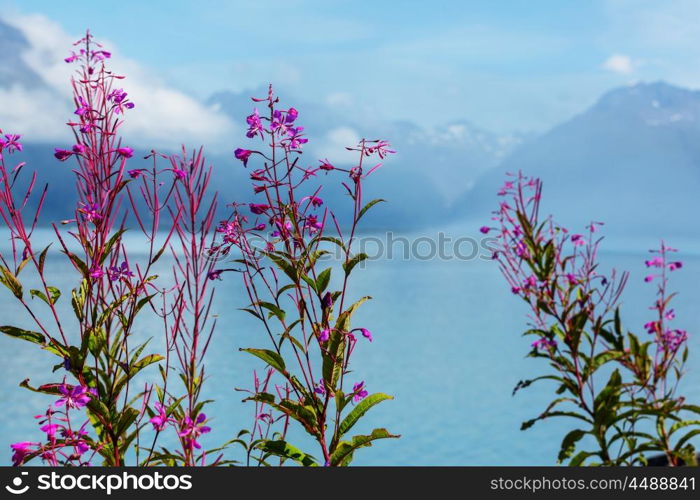 Landscapes of Alaska, United States