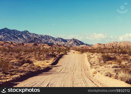 Landscapes of Northern Argentina