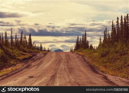 Landscapes on Denali highway.Alaska. Instagram filter.