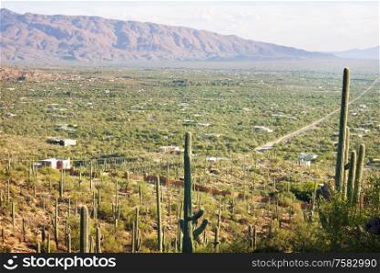 Landscapes over suburb of Tucson.
