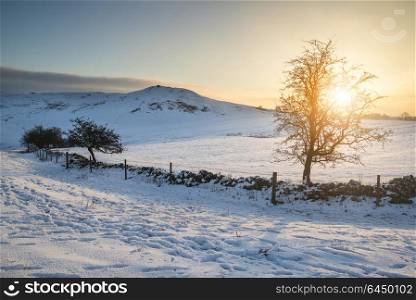 Landscapes. Sunrise over snow covered fields in Winter landscape