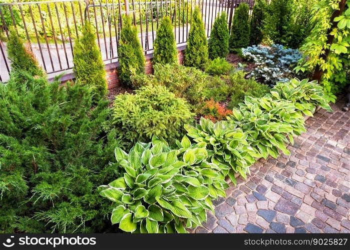Landscaping in home garden. Beautiful natural landscape design with flower beds in summer