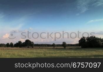 Landschaft mit Wiesen, BSumen und Wolkenhimmel