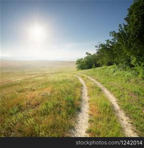 Lane in meadow and deep blue sky. Nature panorama composition.