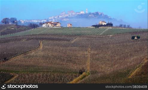 Langhe (Asti, Cuneo, Piedmont, Italy) - Landscape at autumn with vineyards