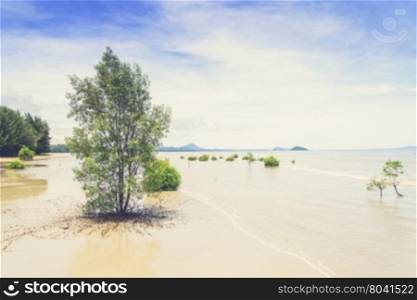 lanscape of tropical beach with mangrove tree in southern of Thailand (Vintage filter effect used)