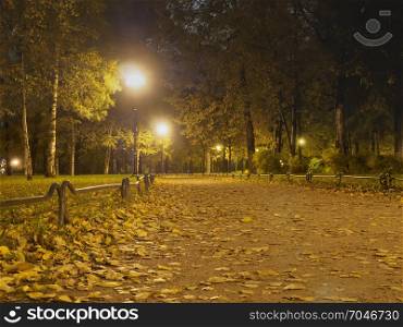 Lanterns illuminate alleys in a night park